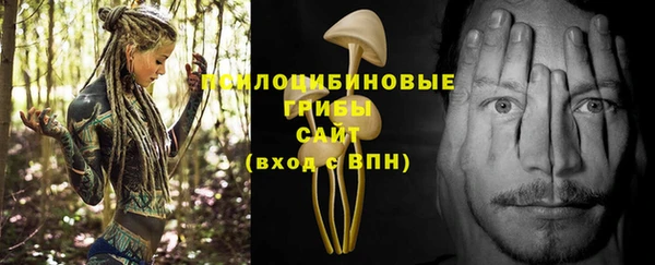 шишки Алексин